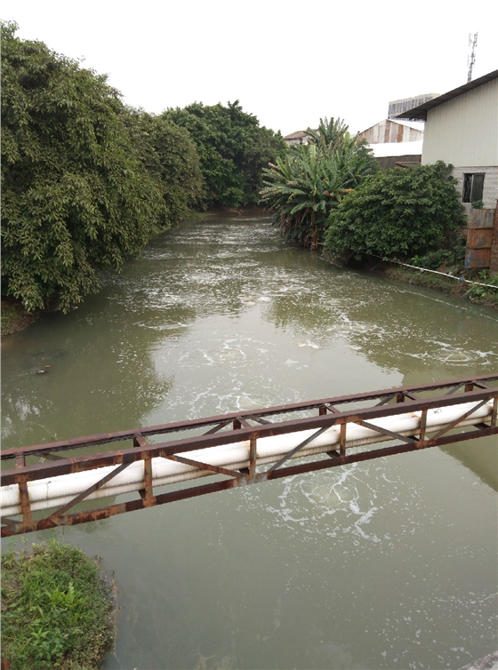 沉水式鼓風(fēng)機廠家